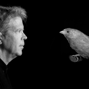Mann und Vogel im Profil, einander zugewandt, Schwarzweiß. Der Mann ist der Schriftsteller Jonathan Franzen, der Vogel eine kalifornische Grundammer.